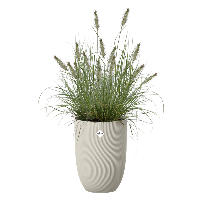 sereh hoch 30cm pilzbeige